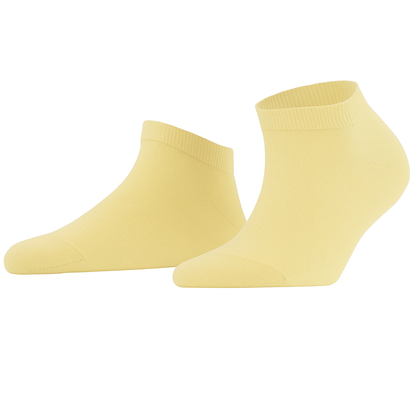 Kadın Bambu Patik Çorap – Asorti 12’li Paket (Terletmez & Konforlu)