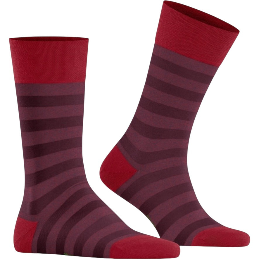 Punto Bambu Serisi Çizgi Erkek Çorap – Nefes Alabilir Konfor (6’lı Paket)